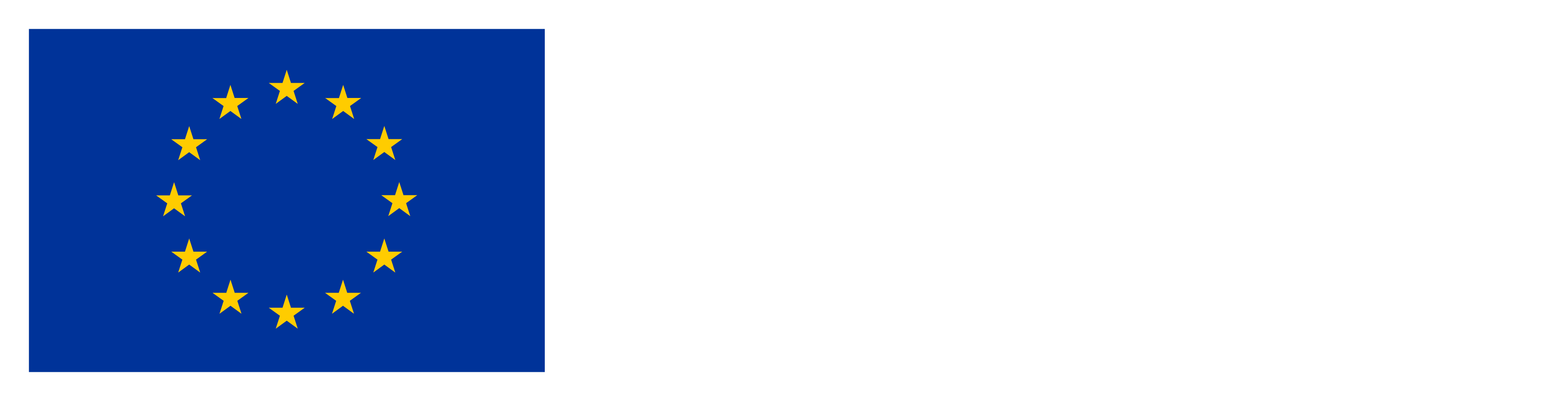 Gefinancierd door de Europese Unie